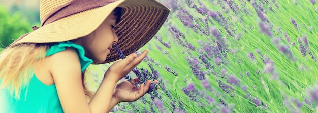 A child in a flowering field of lavender. 