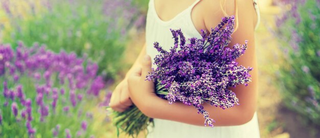 A child in a flowering field of lavender. 