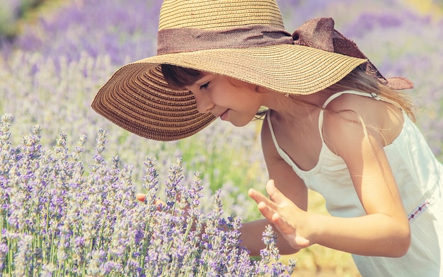 A child in a flowering field of lavender. 