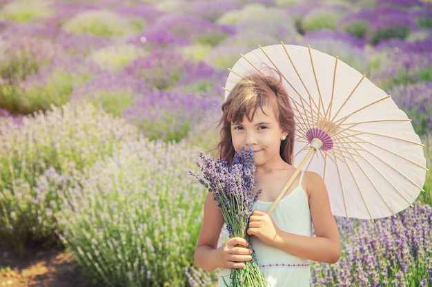 Ребенок в цветущем поле лаванды.