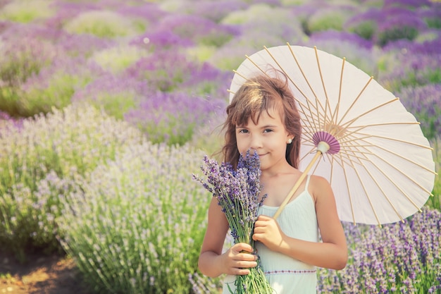 Un bambino in un campo di fioritura di lavanda.