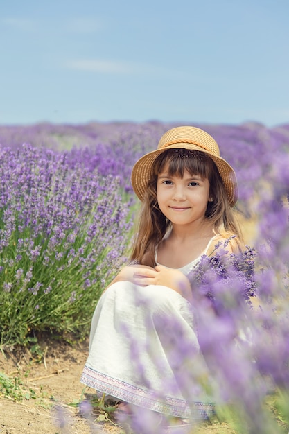 A child in a flowering field of lavender.