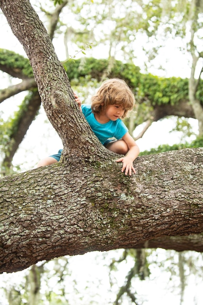 Foto bambino nella foresta arrampicarsi sugli alberi in campagna ragazzo carino per bambini che si arrampica sull'albero concetto di assicurazione sanitaria per la protezione sanitaria medica della famiglia e dei bambini