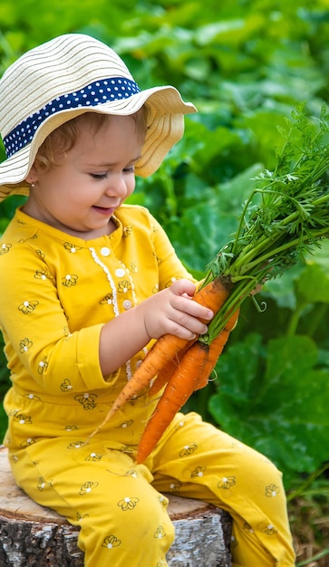 Un bambino in giardino tiene un raccolto di carote nelle sue mani il fuoco selettivo