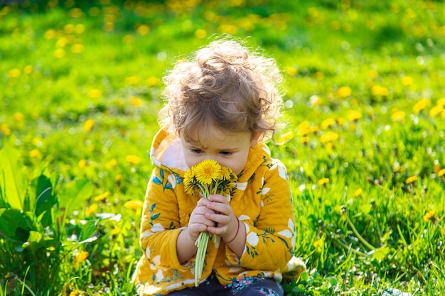 A child in the garden sniffs blooming dandelions in spring Selective focus