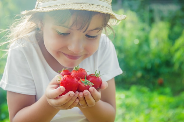 Un bambino in un giardino con pomodori.