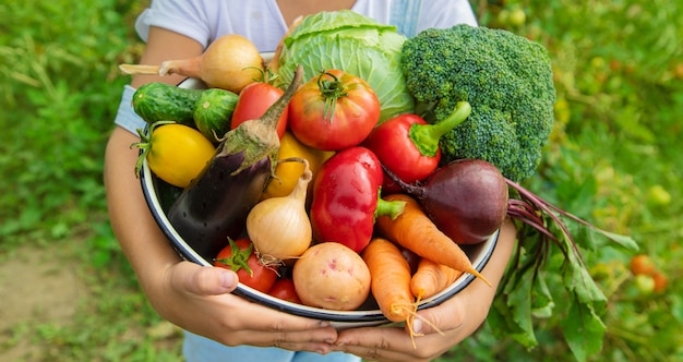 彼の手で野菜を庭で子供。セレクティブフォーカス。