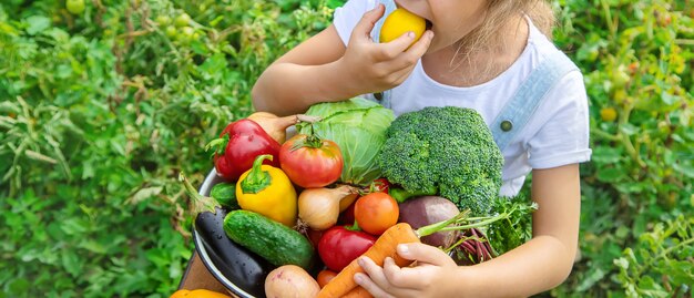 Child in the garden with vegetables in his hands. Selective focus.