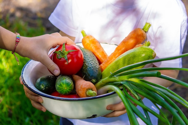 Child in the garden with vegetables in his hands