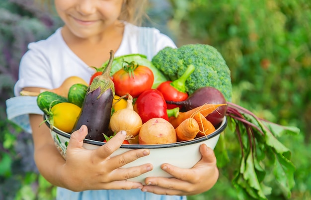 Child in the garden with vegetables in his hands. 