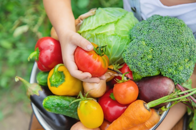 Child in the garden with vegetables in his hands. 