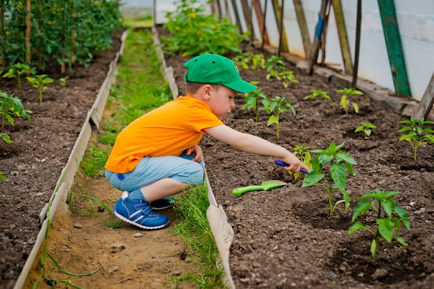 Child in the garden