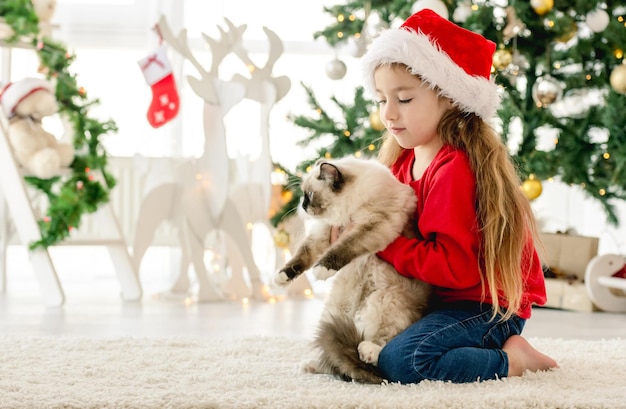 Child girl holding ragdoll cat in Christmas time, looking at camera and smiling. Pretty kid wearing Santa hat with domestic animal at home in New Year