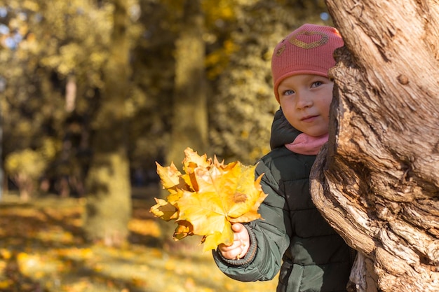Девочка с букетом листьев прячется за деревом в парке