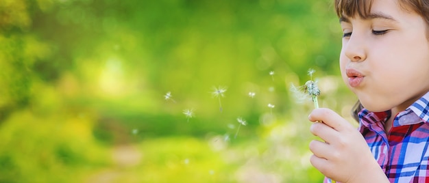 Child girl with dandelions in the park