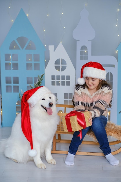 Child girl with gift box and dog Samoyed wearing Santa hats on the background of christmas decoraion. Happy Christmas and New Year