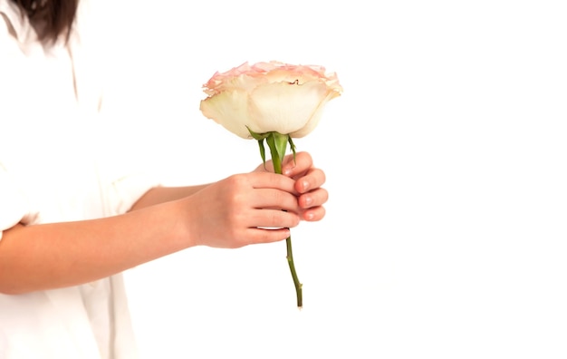 Child gives flower as a gift