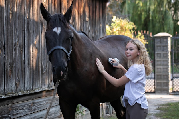 Child grooming horse with brush Girl cleaning and taking care of horse