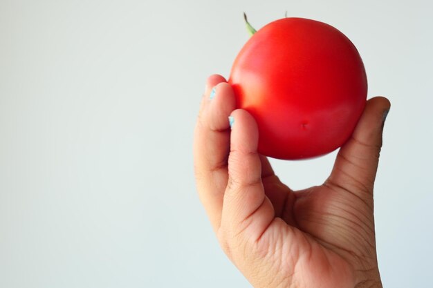 Рука ребенка держит помидор