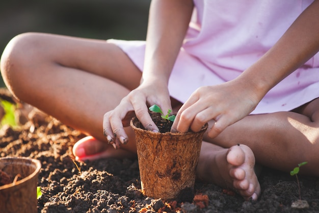 La mano del bambino che pianta le giovani piantine dentro ricicla i vasi di fibra nel giardino