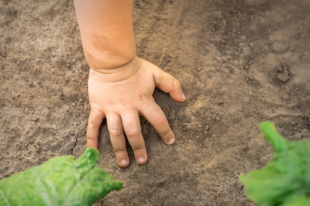 子供の手は乾燥した土壌の背景に触れます