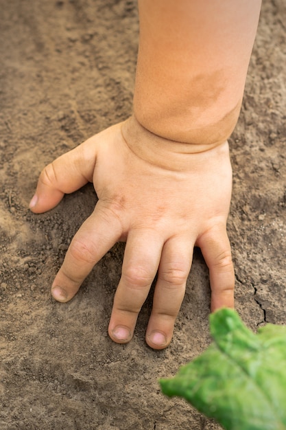 Child hand touch dry soil