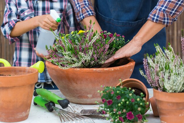 Child helps to father planting flowers family time at home