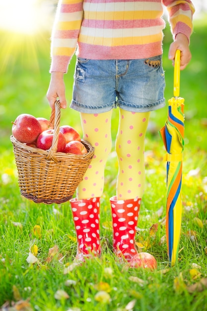 Child holding basket with apples in autumn outdoors. Thanksgiving holiday concept