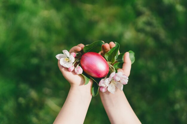 Child holding Easter eggs Hunting for Easter eggs