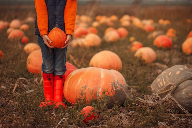 Child holding orange pumpkin on pumpkin field at fall.