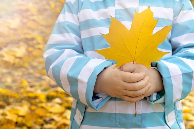 A child holding a yellow leaf in front of leaves