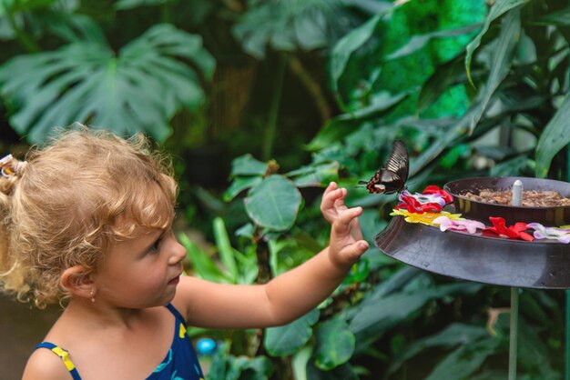 A child holds a beautiful butterfly Selective focus