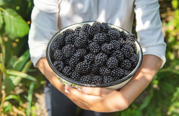 The child holds blackberries in the hands