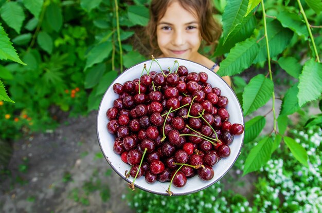 子供は庭の背景にさくらんぼとボウルを保持します