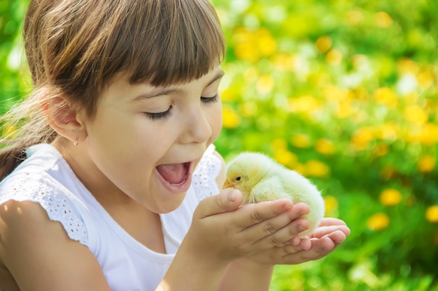 The child holds a chicken in his hands. Selective focus.