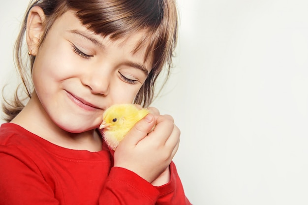 The child holds a chicken in his hands. Selective focus.