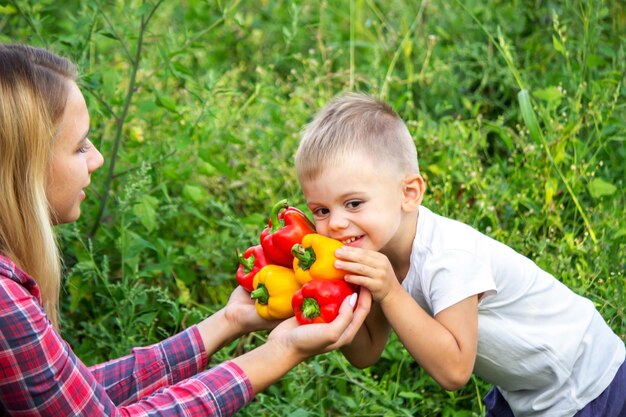 子供は手に新鮮な野菜を持ってコショウの選択的な焦点を食べる