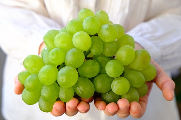 The child holds grapes in his hands.