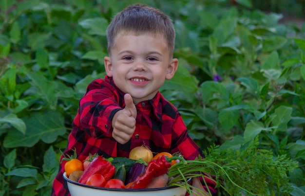 한 아이가 손에 야채 수확물을 들고 있다