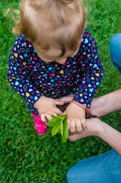 The child holds the plant and soil in his hands Selective focus