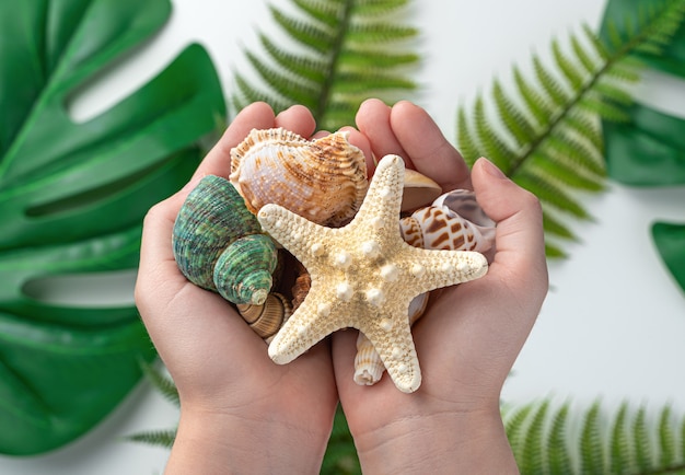 A child holds seashells against the background of tropical plant leaves
