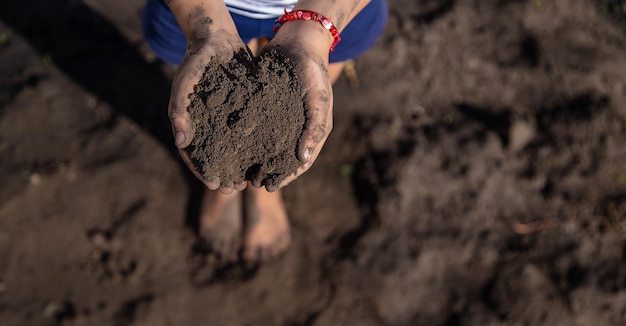 Il bambino tiene il terreno nel giardino messa a fuoco selettiva