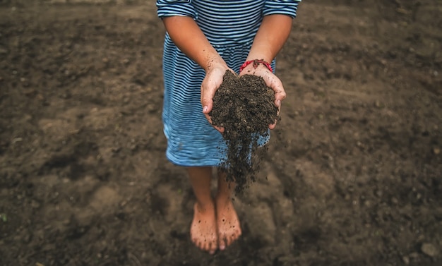 The child holds the soil in his hands. Selective focus.