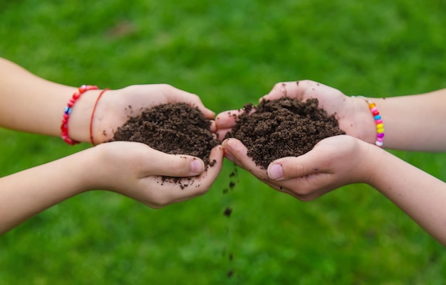 The child holds the soil in his hands Selective focus