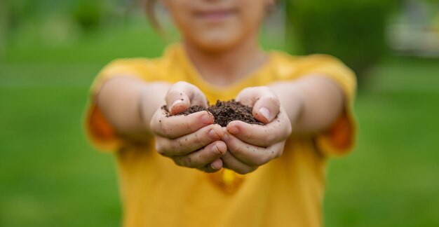 The child holds the soil in his hands Selective focus