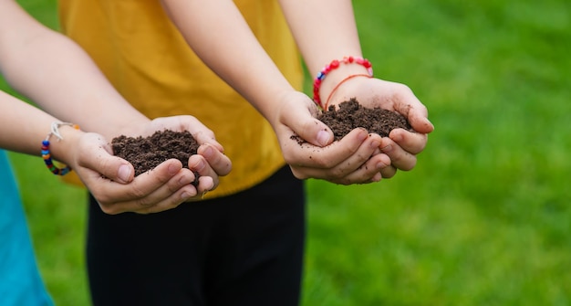 The child holds the soil in his hands Selective focus