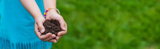 The child holds the soil in his hands Selective focus