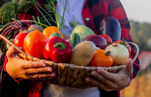 Photo a child holds vegetables in a basket in the garden selective focus