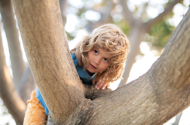 Ребенок обнимает ветвь дерева Маленький мальчик ребенок на ветви дерева Ребенок поднимается на дерево Активный ребенок играет