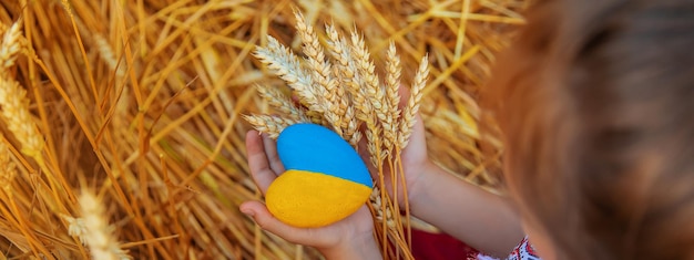 Ребенок в пшеничном поле в вышиванке концепция дня независимости украины выборочный фокус